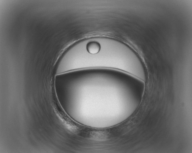 X0000081280107200701110944
