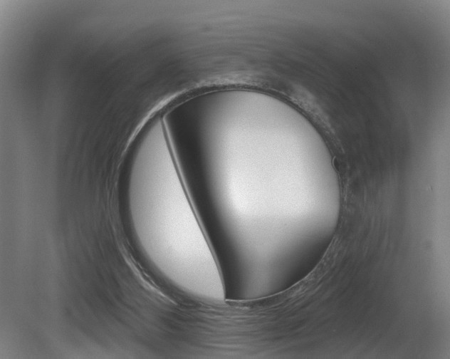 X0000081280108200701110944