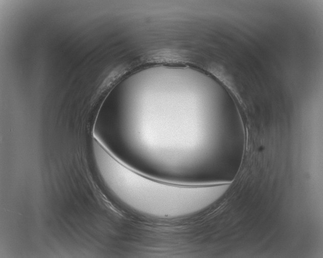 X0000081280109200701110944