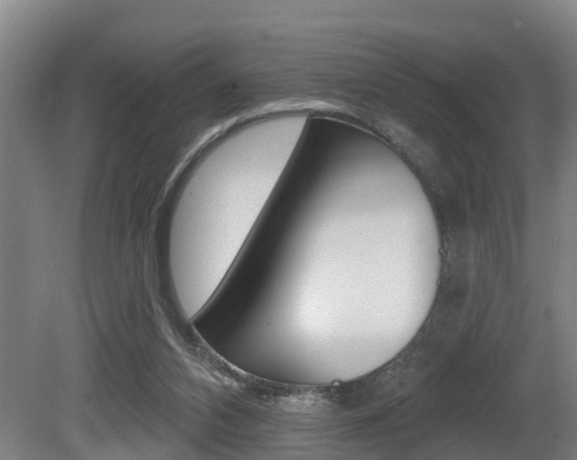 X0000081280112200701110944