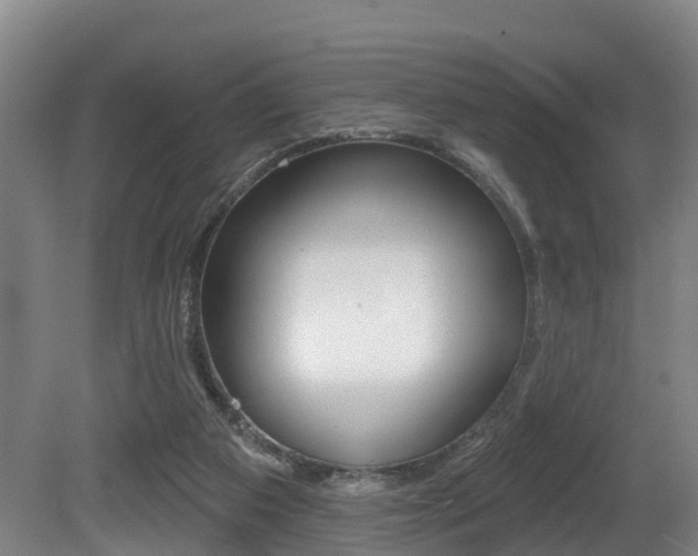 X0000081280113200701110944