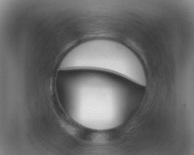 X0000081280115200701110944