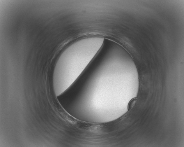 X0000081280116200701110944