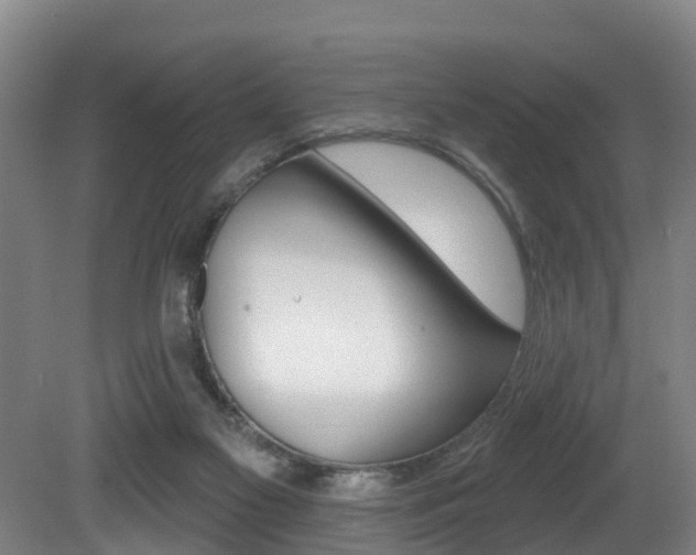 X0000081280117200701110944