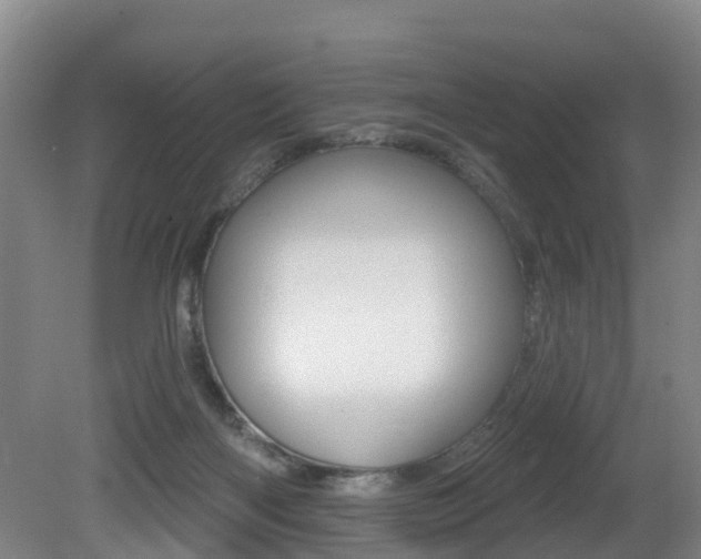 X0000081280122200701110944