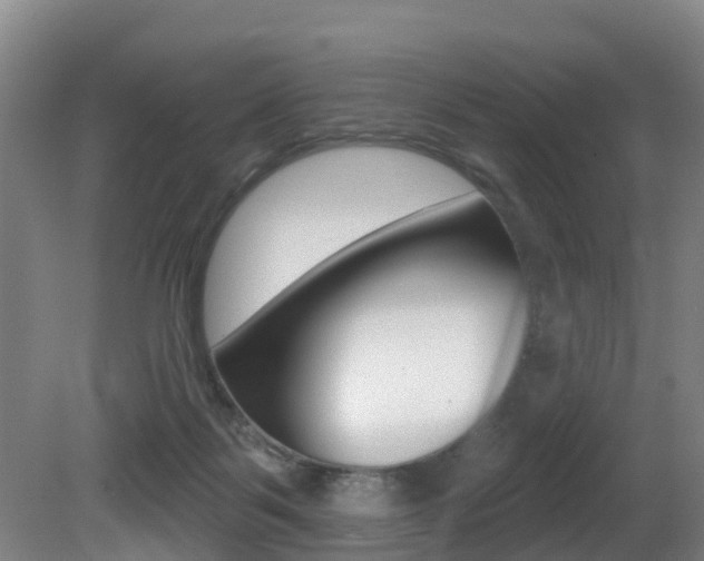 X0000081280123200701110944