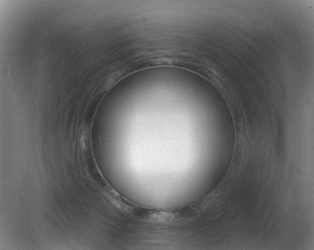 X0000081280125200701110944