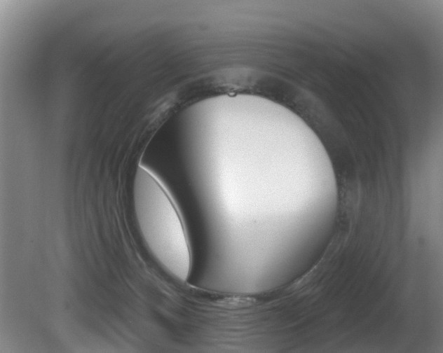 X0000081280128200701110944
