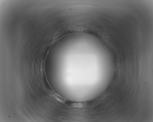 X0000081280131200701110944