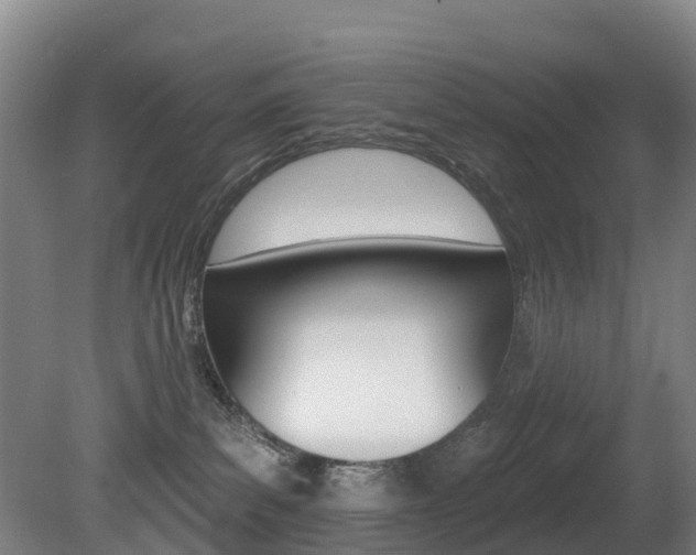 X0000081280139200701110944
