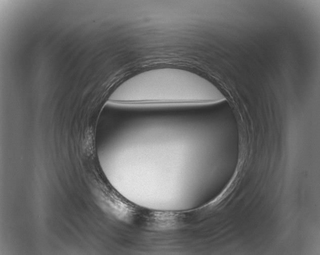 X0000081280144200701110944