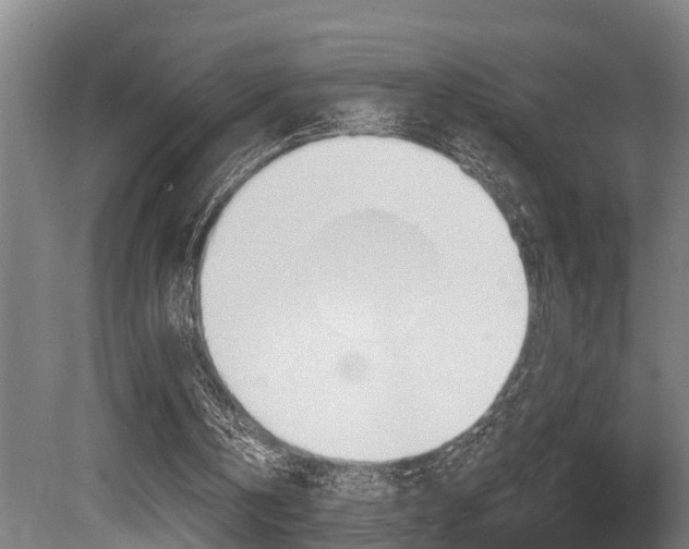 X0000081280146200701110943