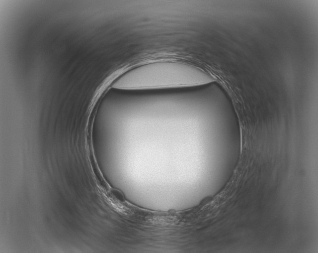 X0000081280147200701110943