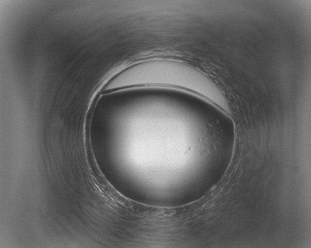 X0000081280148200701110943