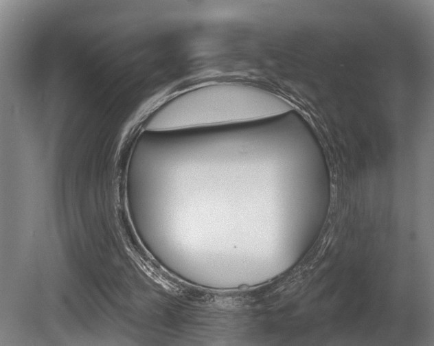 X0000081280149200701110943