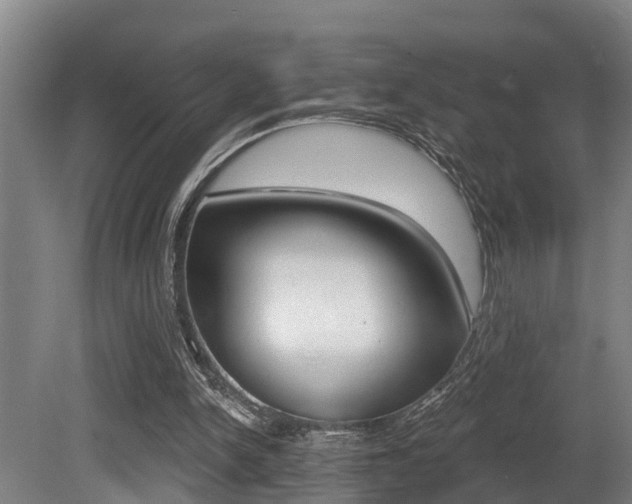 X0000081280150200701110943