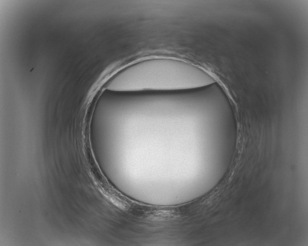 X0000081280151200701110943