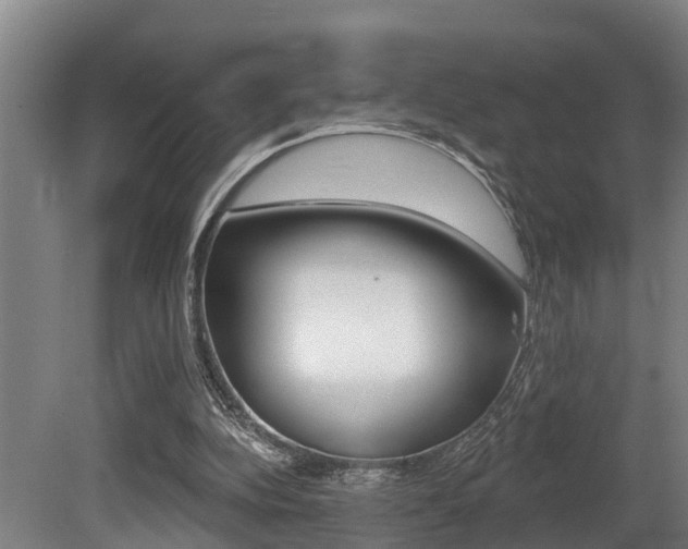 X0000081280152200701110943