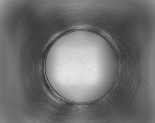 X0000081280155200701110943