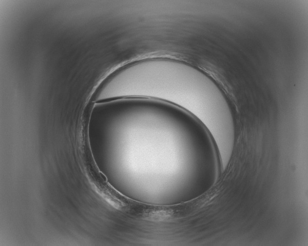 X0000081280156200701110943