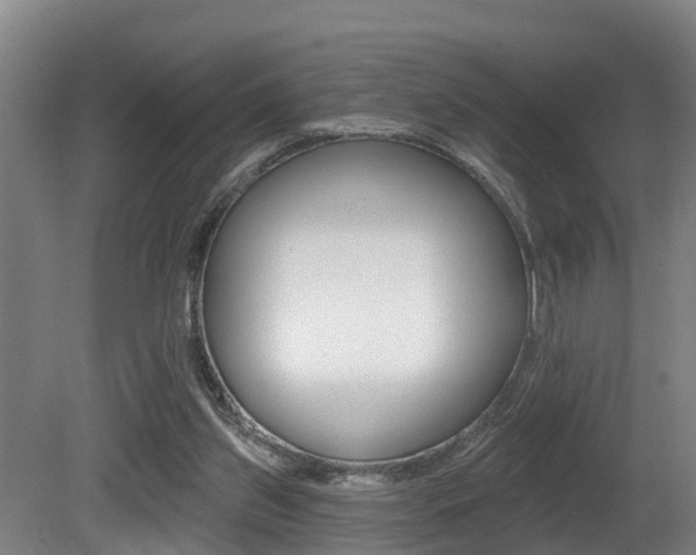 X0000081280157200701110943