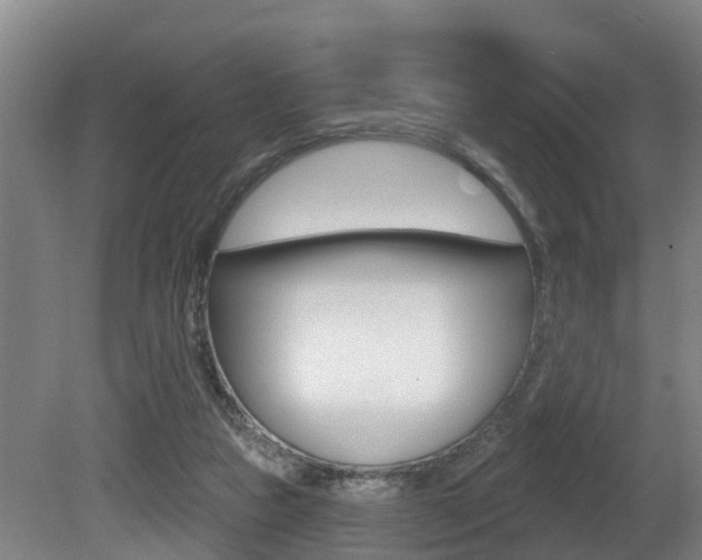 X0000081280161200701110943