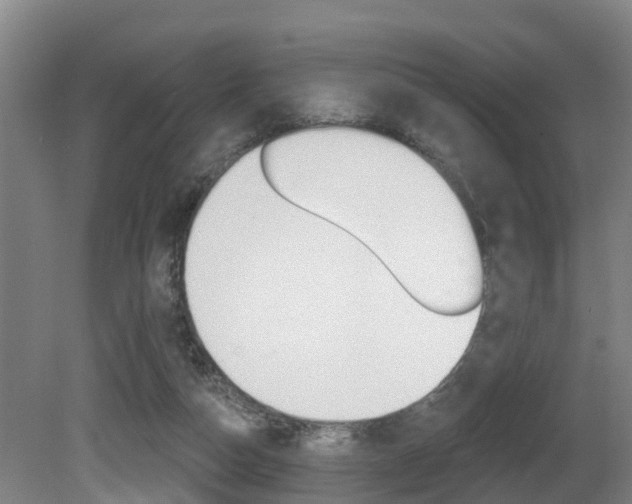X0000081280162200701110943