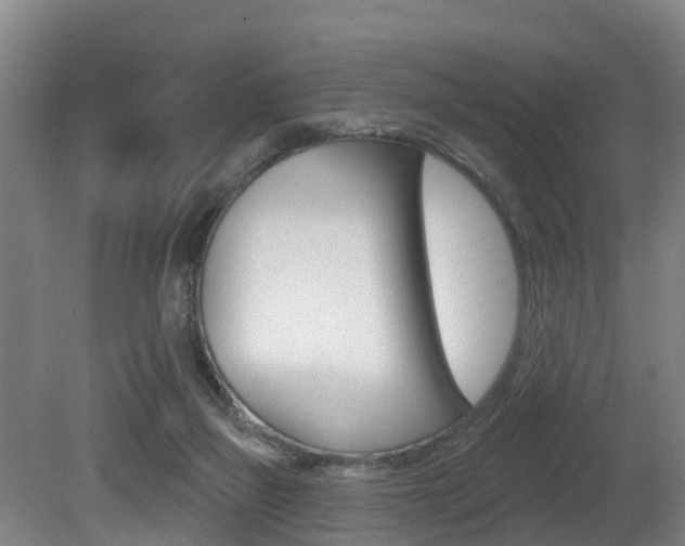 X0000081280165200701110943