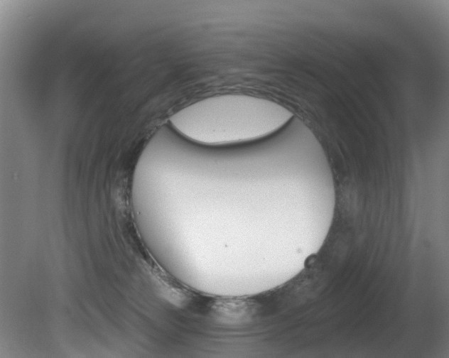 X0000081280181200701110943
