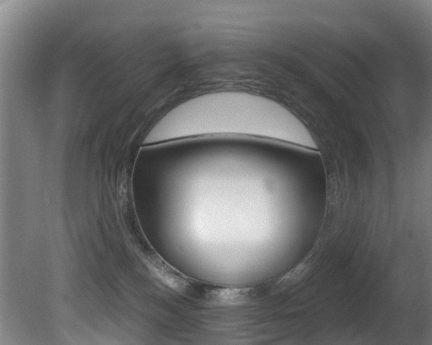 X0000081280184200701110943
