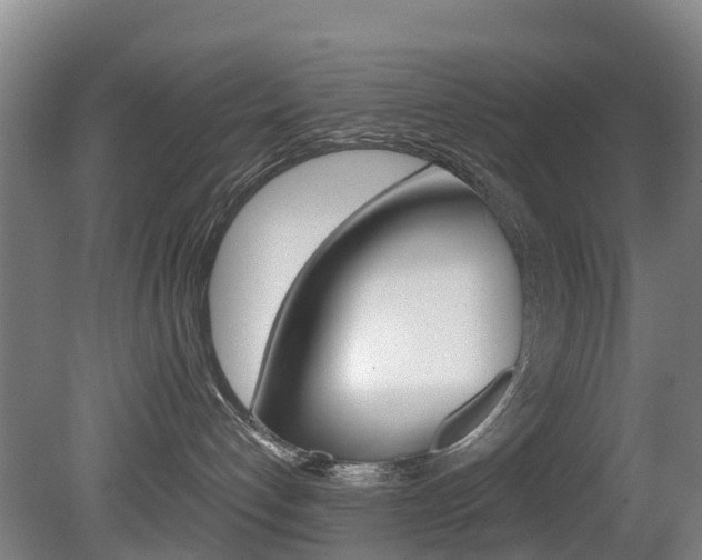 X0000081280192200701110944