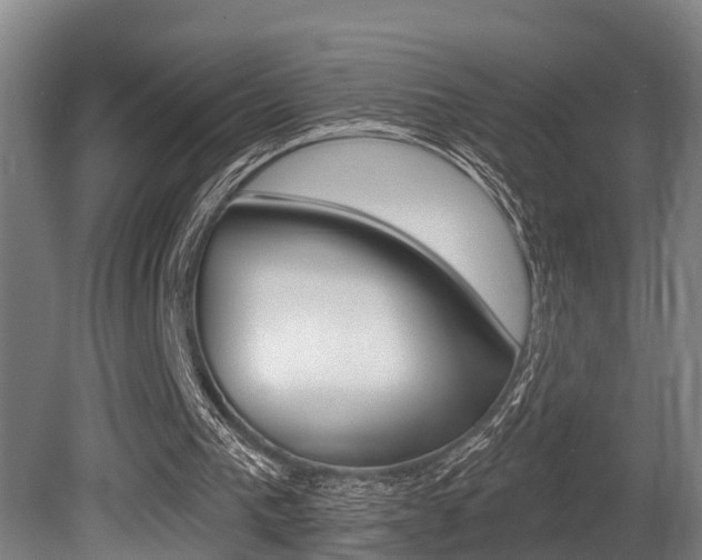 X0000081280193200701110943