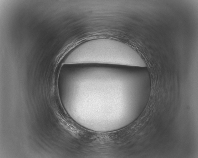 X0000081280194200701110943