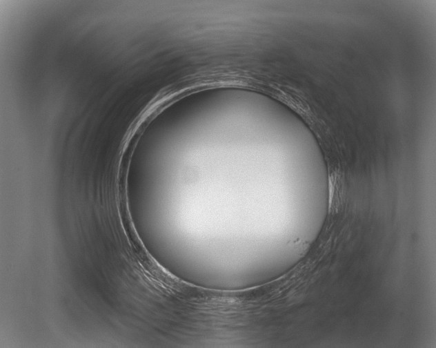 X0000081280195200701110943