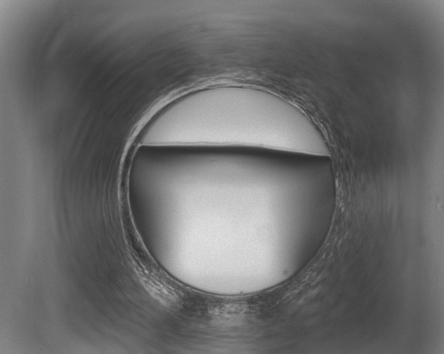X0000081280196200701110943