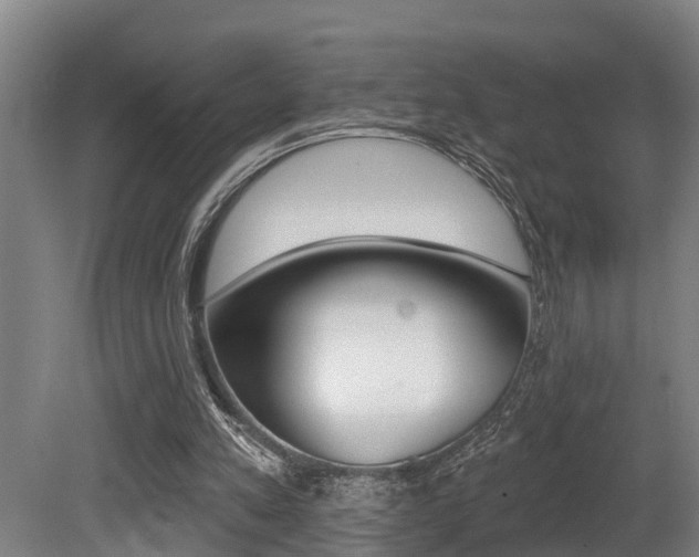 X0000081280197200701110943