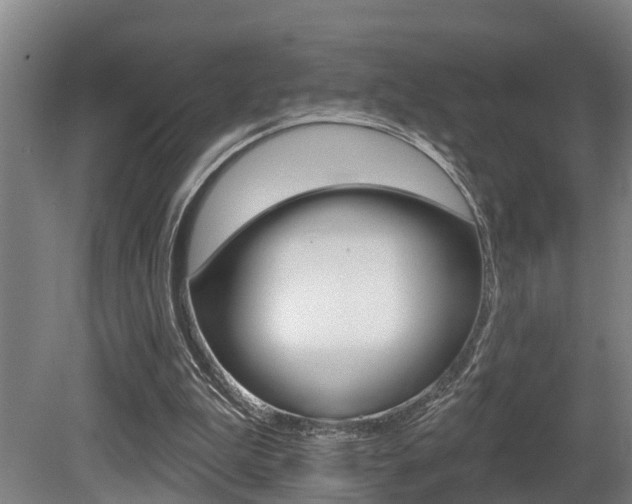 X0000081280199200701110943