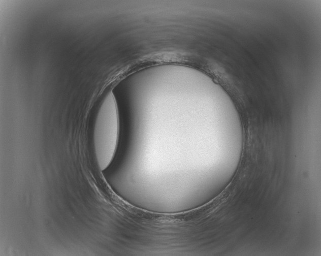 X0000081280202200701110943