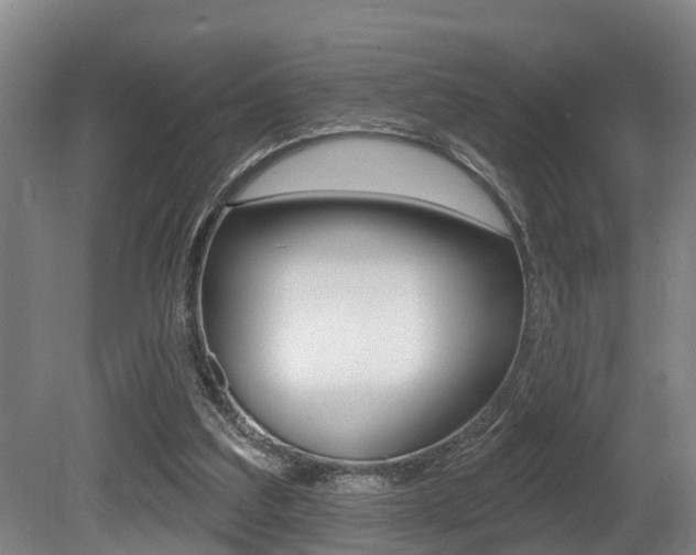 X0000081280203200701110943