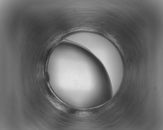 X0000081280205200701110943