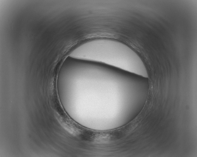 X0000081280206200701110943