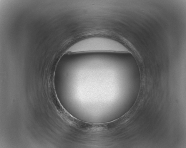 X0000081280209200701110943