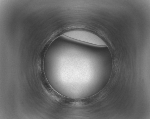 X0000081280212200701110942