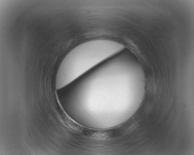 X0000081280213200701110942
