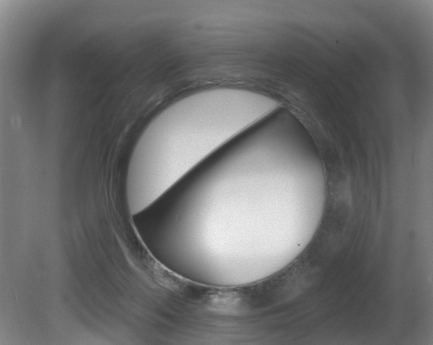 X0000081280214200701110942
