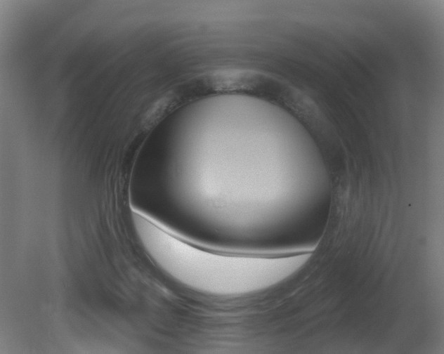 X0000081280219200701110942