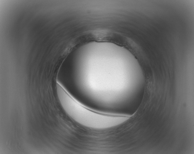 X0000081280221200701110942