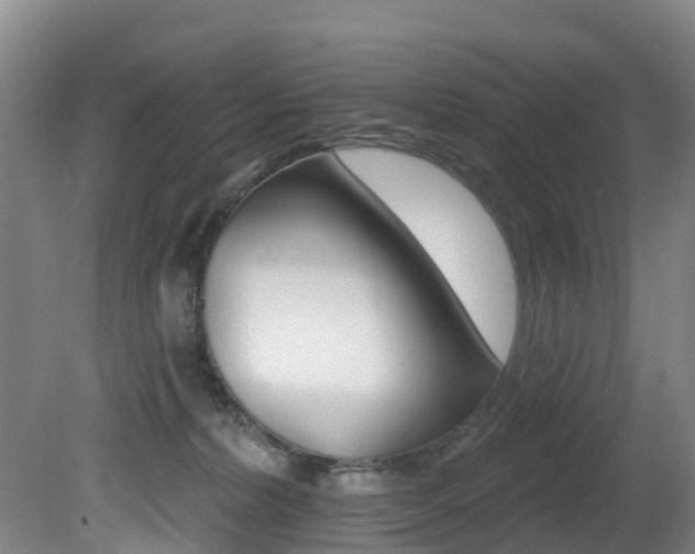 X0000081280228200701110942