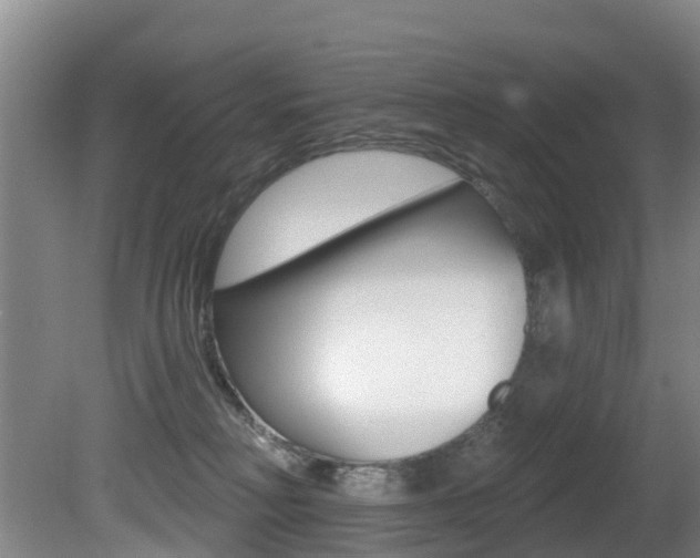 X0000081280230200701110942