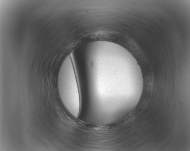 X0000081280232200701110942